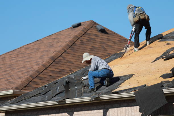 Best Sheet Metal Roofing  in Connerton, FL