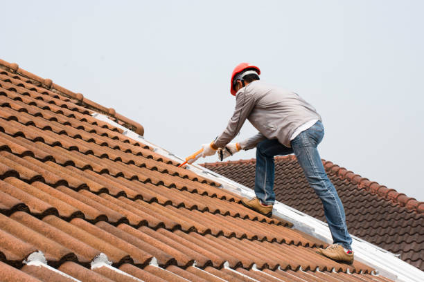 Gutter Replacement in Connerton, FL